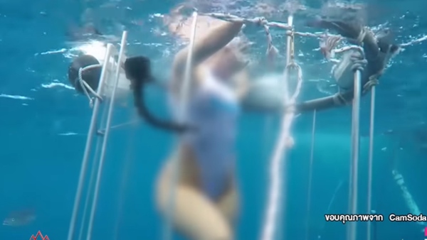 นาทีระทึก!! ดาวโป๊สาวสหรัฐ โดนฉลามกัด ระหว่างถ่ายทำโฆษณาใต้น้ำ