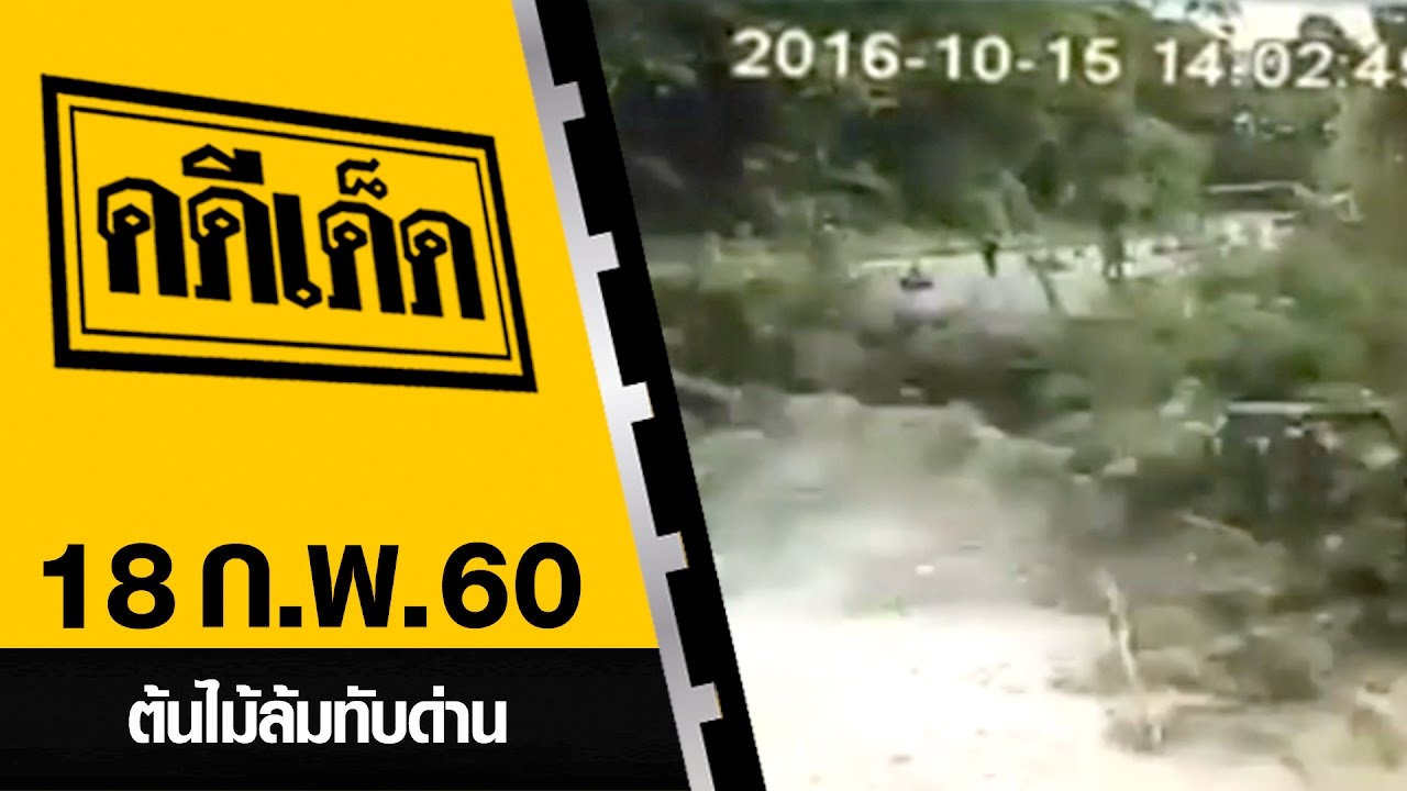 ต้นไม้ล้มทับด่าน l คดีเด็ด 18 กุมภาพันธ์ 2560