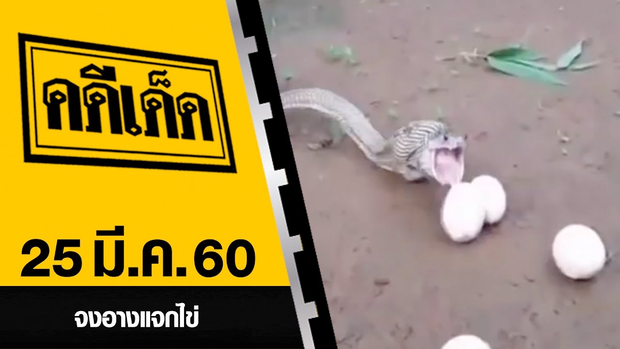 จงอางแจกไข่ l คดีเด็ด 25 มีนาคม 2560