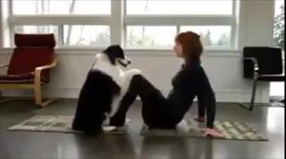 ชาวเน็ตแห่แชร์ ! สุนัขแสนรู้ ฉลาดมาก ทำท่าออกกำลังกาย มนุษย์ยังอาย (ชมคลิป)