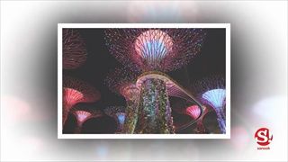 6 กิจกรรม “0” เหรียญ ไม่เสียเงินใน Gardens by the Bay – สิงคโปร์