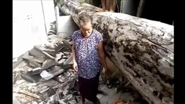 เชื่อในปาฏิหาริย์ ยายวัย 74 ปี เล่านาทีระทึก กำลังนั่งดูทีวี ต้นไม้ใหญ่ล้มทับบ้าน