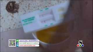 Sakorn News : เจ้าหน้าที่บุกตรวจสารเสพติดพระสงฆ์