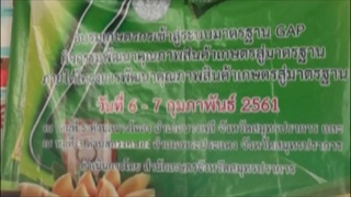 Sakorn News : โครงการพัฒนาสินค้าเกษตรสู่มาตรฐาน GAP