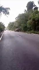ช้างป่าเขาอ่างฤาไน วิ่งไล่กันกลางป่า รถกระบะเฉี่ยวชนเจ็บ