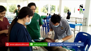 Sakorn News : ทำหมันสุนัขและแมว