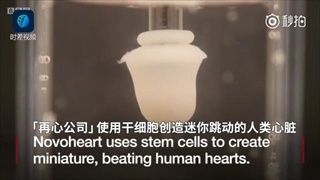 มหาวิทยาลัยฮ่องกงผลิต “หัวใจเทียม” สำหรับทดสอบยาสำเร็จเป็นที่แรกของโลก