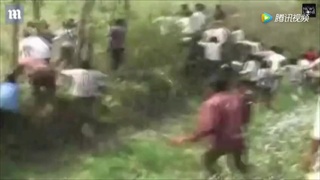 วิ่งป่าราบ ชาวบ้านอินเดียปีนต้นไม้ หนีเสือ ขย้ำกินคนแล้ว 22 ราย