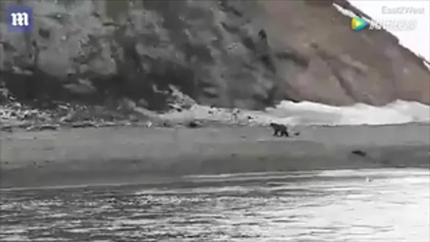 ชายรัสเซียเจอหมีเกรี้ยวกราดโผล่ฉกปลา หนีขึ้นเขา-ลงแม่น้ำ สุดท้ายจมน้ำตาย