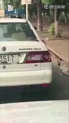 ตำรวจจีนขอโทษ จัดการไม่มืออาชีพ หลังมีคลิปขับรถลากสุนัขจรจัดไปตามถนน