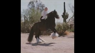 Alex Bauwens นักธนูสาวสวย บนหลังม้า ชาวอเมริกัน