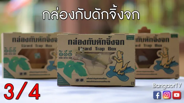 บางอ้อ : กล่องกับดักจิ้งจก (20 ส.ค. 2560) 3/4