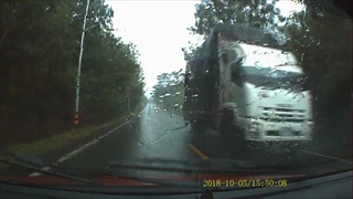 2นักข่าวหวิดดับ!! ฝนตกหนักต้นไม้โค่นเกือบทับรถยนต์
