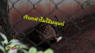 "ทีนพาทัวร์" พาไปอำลาสวนสัตว์ดุสิต