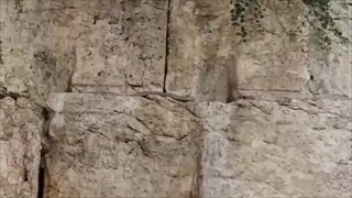 อิสราเอลฮือฮา "นกเขาบินหนีงู" ที่กำแพงเยรูซาเลม เชื่อส่งสัญญาณใกล้วันสิ้นโลก 1/2