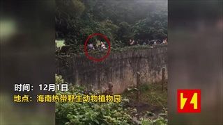 ด่ายับ นักท่องเที่ยวจีนเยือนสวนสัตว์ ยิงหนังสติ๊กใส่สัตว์ เจ็บ 2 ตัว