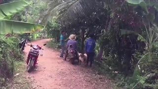 คนชัยภูมิยิ้มออก จระเข้หลุดแม่น้ำชีโดนตะครุบ เก็บตัวเงียบไปถึง 4 เดือน