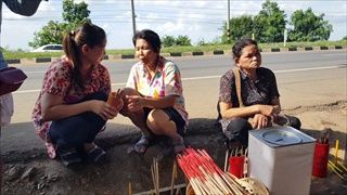 คอหวยบูชา "ต้นยอป่าตั้งท้อง" ลูบไล้-โรยแป้ง ลือให้โชคมาหลายงวด