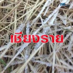 เตรียมยะเยือก! 4 จังหวัดหนาวปากสั่น