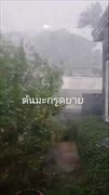 "ชมพู่ อารยา" ถ่ายคลิปนาที ฝน-ลูกเห็บ ถล่มบ้าน ลมแรงจน ต้นมะกรูด ของแม่ล้มต่อหน้า