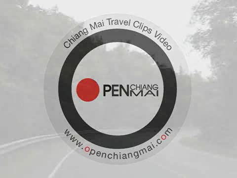 Elephant owner for a day