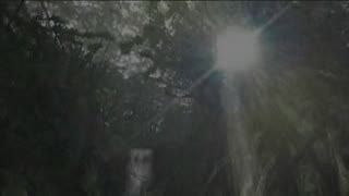 Monster Hunter G Wii [Network Trailer]
