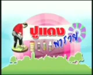 แผนรายได้