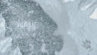 Uncharted 2: Among Thieves [PAX09 Trailer]