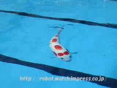 หุ่นยนตร์ปลา -  Fish robot