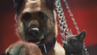 CATS & DOGS: THE REVENGE OF KITTY GALORE  2/2