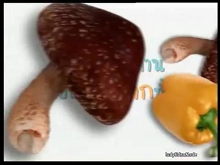 กินอยู่คือ - บวบหอม ชมจันทร์ 1/4
