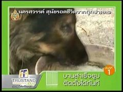 ปาดคอสุนัข - ข่าวข้นคนข่าว