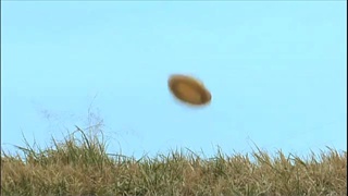 saori hara จาก หนัง sex and zen 3D