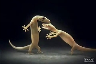 True Love Story. by sia.co.th