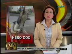 เจ้ากาบัง(Kabang) สุนัขที่สูญเสียใบหน้า