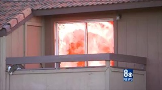 ลุ้น! แมวหนีไฟ