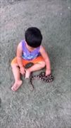 คลิปเด็กเล่นกับงู แชร์ว่อนโซเชียลฯ ชาวเน็ตจวกยับ