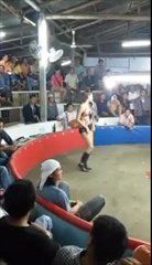 แม่พันธุ์ไก่ตี เชียงราย