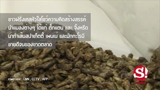 Sanook! ทันโลก : ฝรั่งเศสโชว์นำตั๊กแตนทำเส้นสปาเก็ตตี้