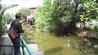 รวมฮิต กระบี่มือหนึ่ง : สุดยอดคนพันธุ์ X | Street fishing