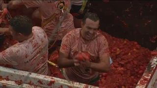 เทศกาลปามะเขือเทศ (La Tomatina) 2016