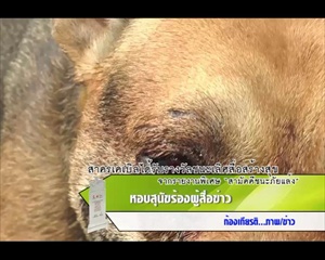 Sakorn News : ชาวบ้านหอบหมาร้องสื่อ