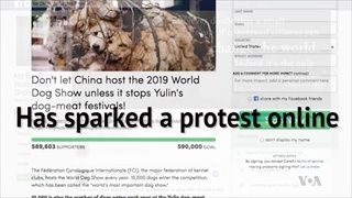 นักรณรงค์สิทธิสัตว์คัดค้านงาน "World Dog Show 2019" ในเซี่ยงไฮ้เพื่อต่อต้านการกินเนื้อสุนัข