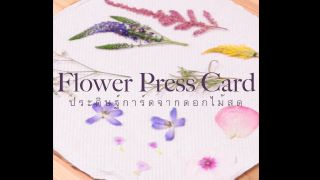 Flower Press Card ประดิษฐ์การ์ดจากดอกไม้สด