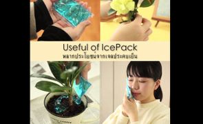 หลากประโยชน์จากเจลประคบเย็น (Useful of Ice Pack)