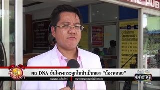 ผล DNA ยันโครงกระดูกในป่าเป็นของ “น้องพลอย” | ข่าวช่องวัน | one31