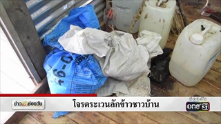โจรตระเวนลักข้าวชาวบ้าน | แคนช่วยได้ | ข่าวช่องวัน | one31
