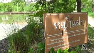 Sakorn News : ศูนย์เรียนรู้ปรัชญาของเศรษฐกิจพอเพียงฯ ชุมชนศรีเพชร