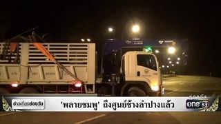 “พลายชมพู” ถึงศูนย์ช้างลำปางแล้ว | ข่าวช่องวัน | ช่อง one31