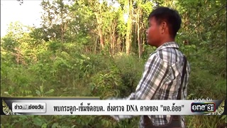 พบกระดูก-เข็มขัดอบต.ส่งตรวจDNAคาดของ “ผอ.อ้อย” | ข่าวช่องวัน | ช่อง one31